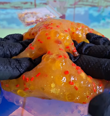 Komorebi - Slime