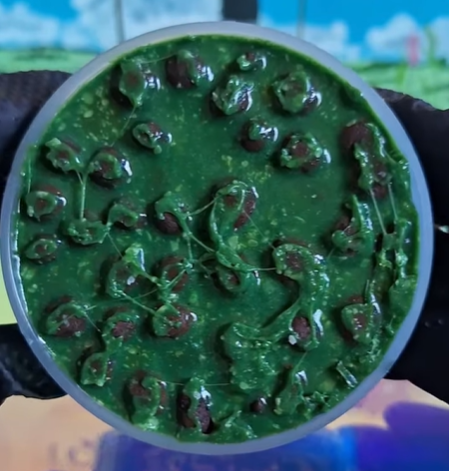 Ceol - Slime