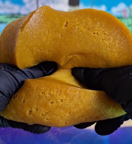 Ghar Ka Sukoon - Slime