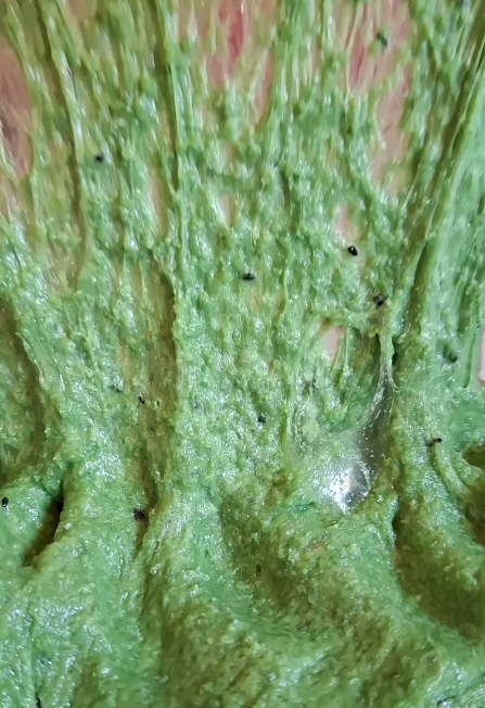 Not One With The Undead Nor Fodder For The Live And Fiending - Slime